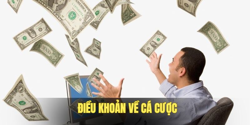 Cá cược game tuân thủ quy trình và hướng dẫn